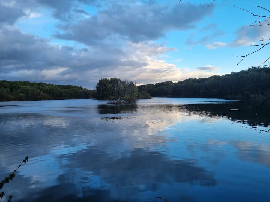 Moore Nature Reserve