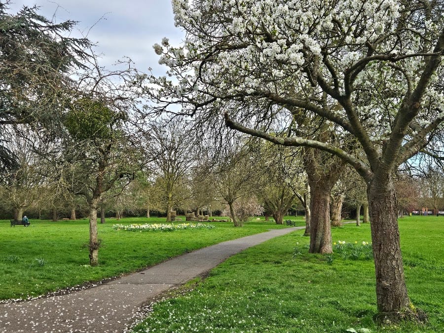 Mostyn Gardens