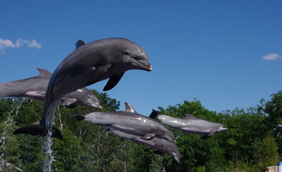 Nürnberg Zoo