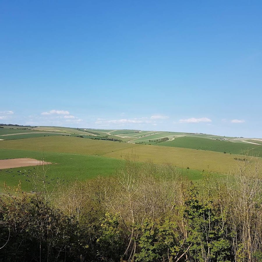 National Trust - Cissbury Ring