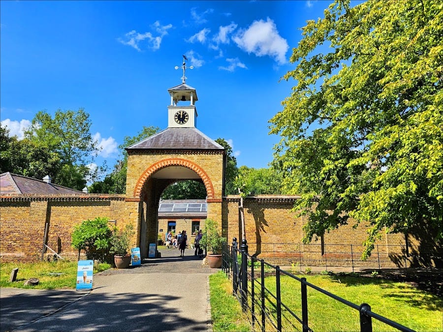 National Trust - Morden Hall Park