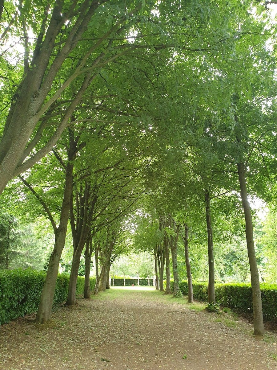 National Trust - Whipsnade Tree Cathedral