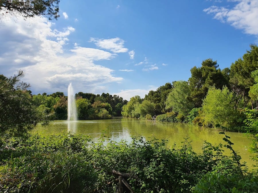 Nature Reserve Pineta Dannunziana