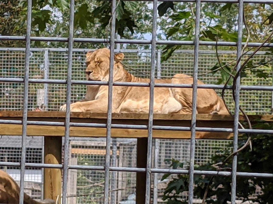 Newquay Zoo