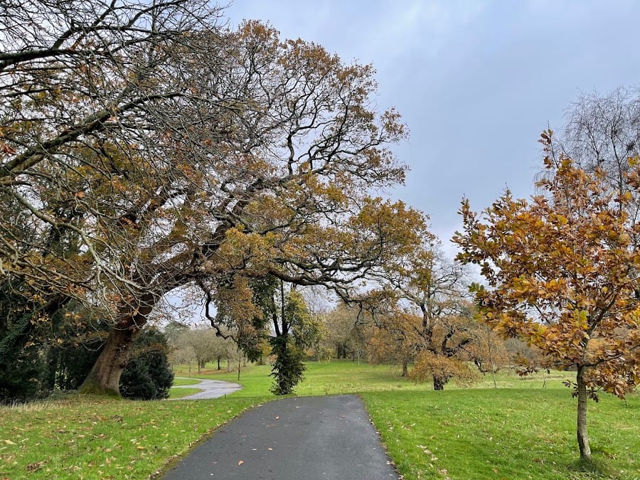 Parc Singleton Park