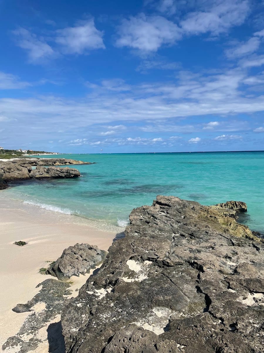 Playa del Carmen Wild Beach