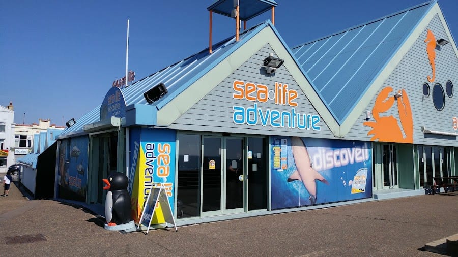 Sealife Adventure