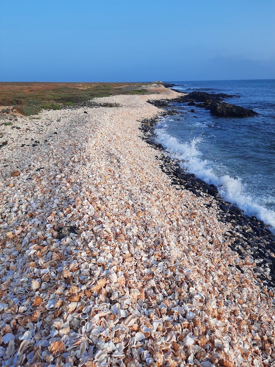 Shell Cemetery Beach