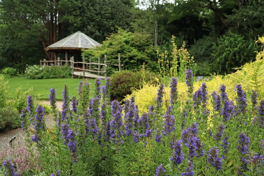 St Andrews Botanic Garden