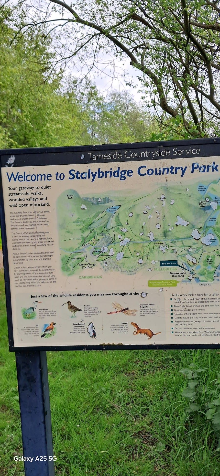 Stalybridge Country Park
