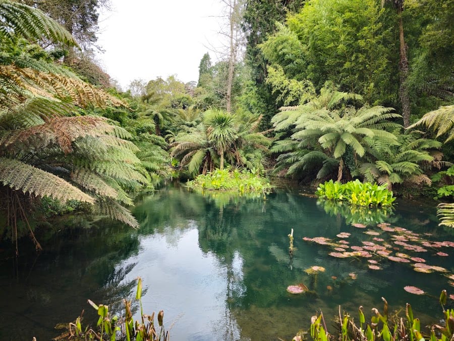 The Lost Gardens of Heligan