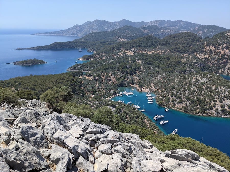 View point