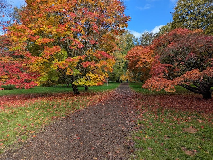 Westonbirt, The National Arboretum