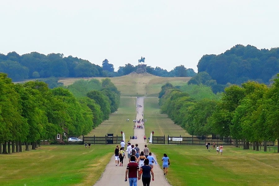 Windsor Great Park
