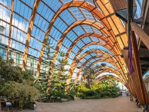 Winter Garden