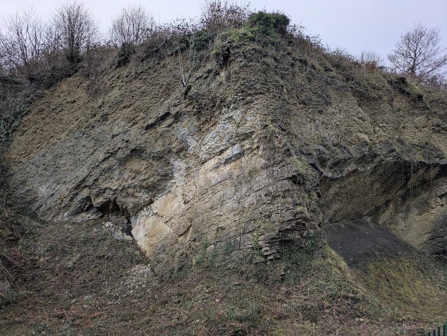 Wren's Nest