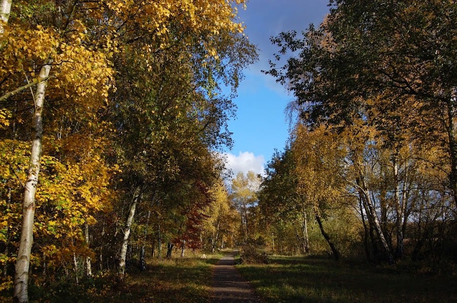 YWT Potteric Carr Nature Reserve