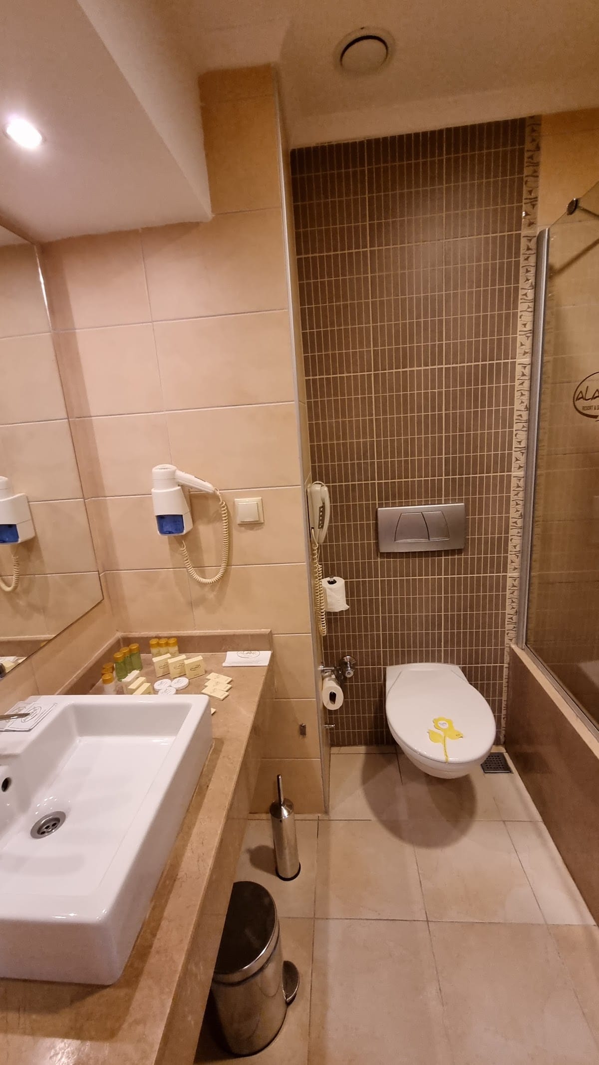 Alaiye Resort & Spa Hotel photo 4