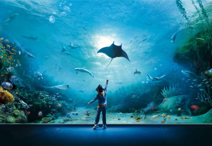 Aquarium of Genoa Tickets: What to Know Before You Go — photo