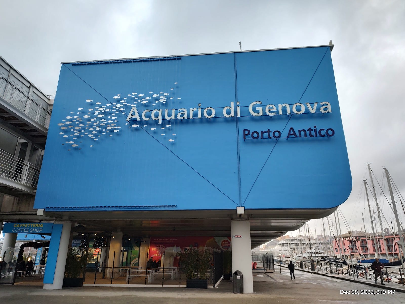 Aquarium of Genoa Tickets: What to Know Before You Go — photo