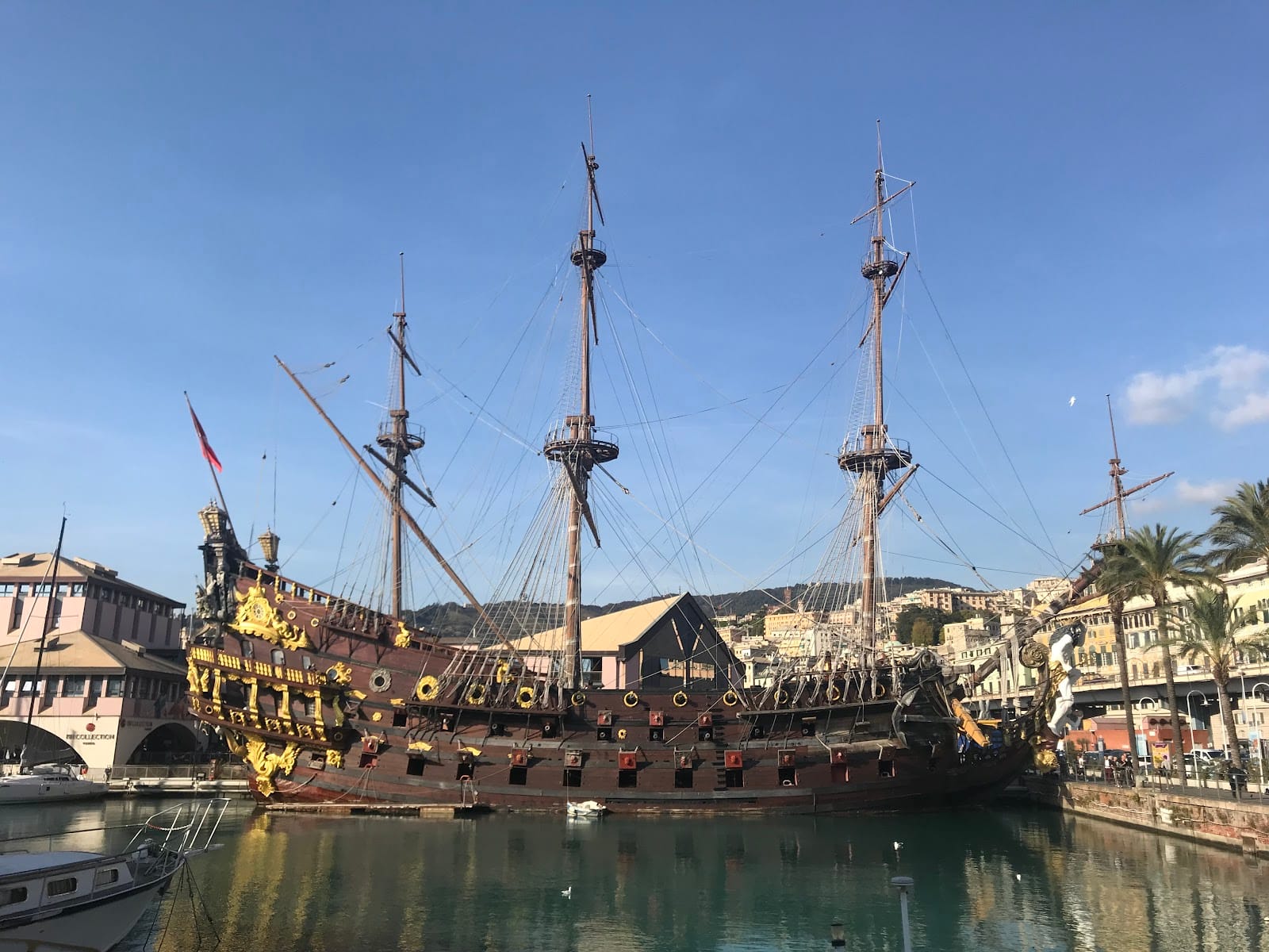 Aquarium of Genoa Tickets: What to Know Before You Go — photo