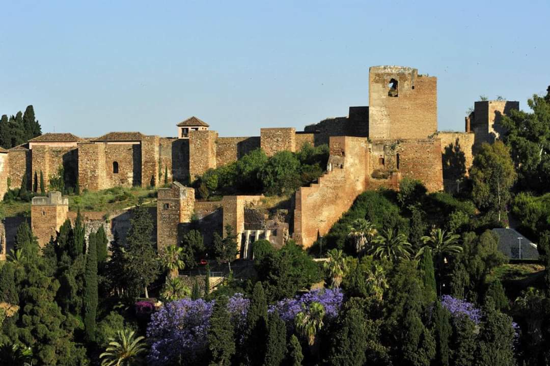 Alcazaba of Malaga Tickets & Tours: What to Know — photo