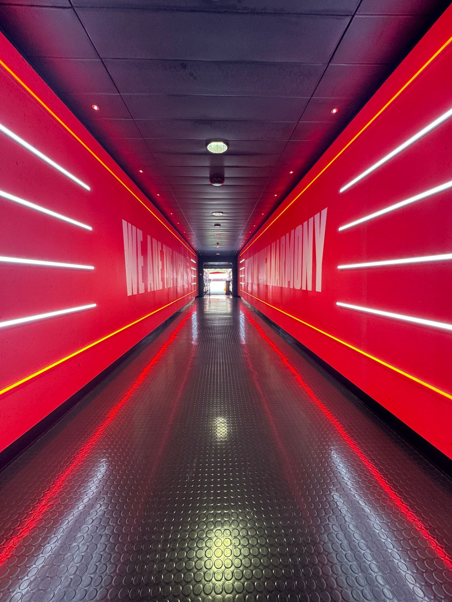 Emirates Stadium Tour Tickets: What to Know | London — photo