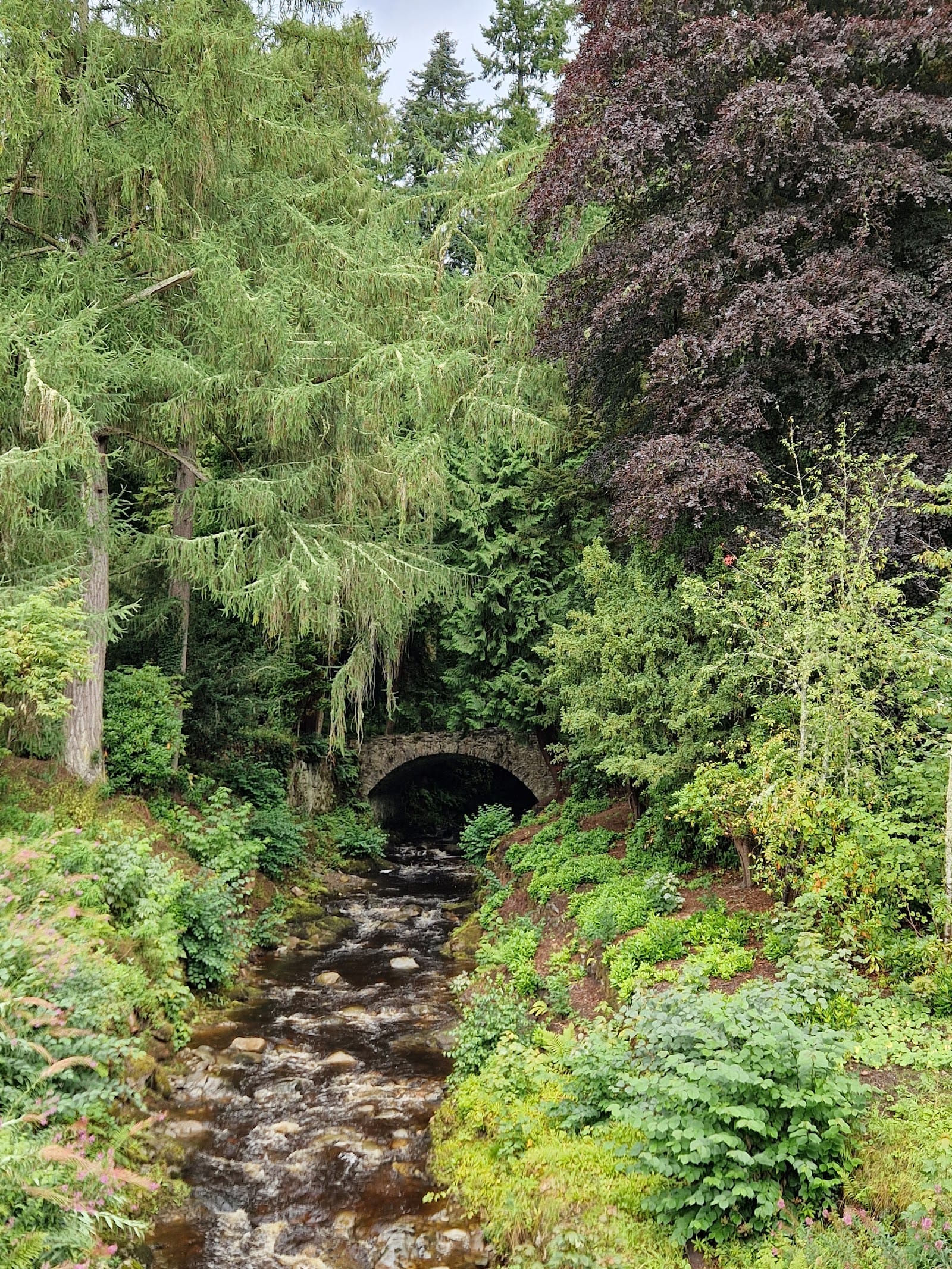Blair Castle Tickets: What to Know Before You Go — photo