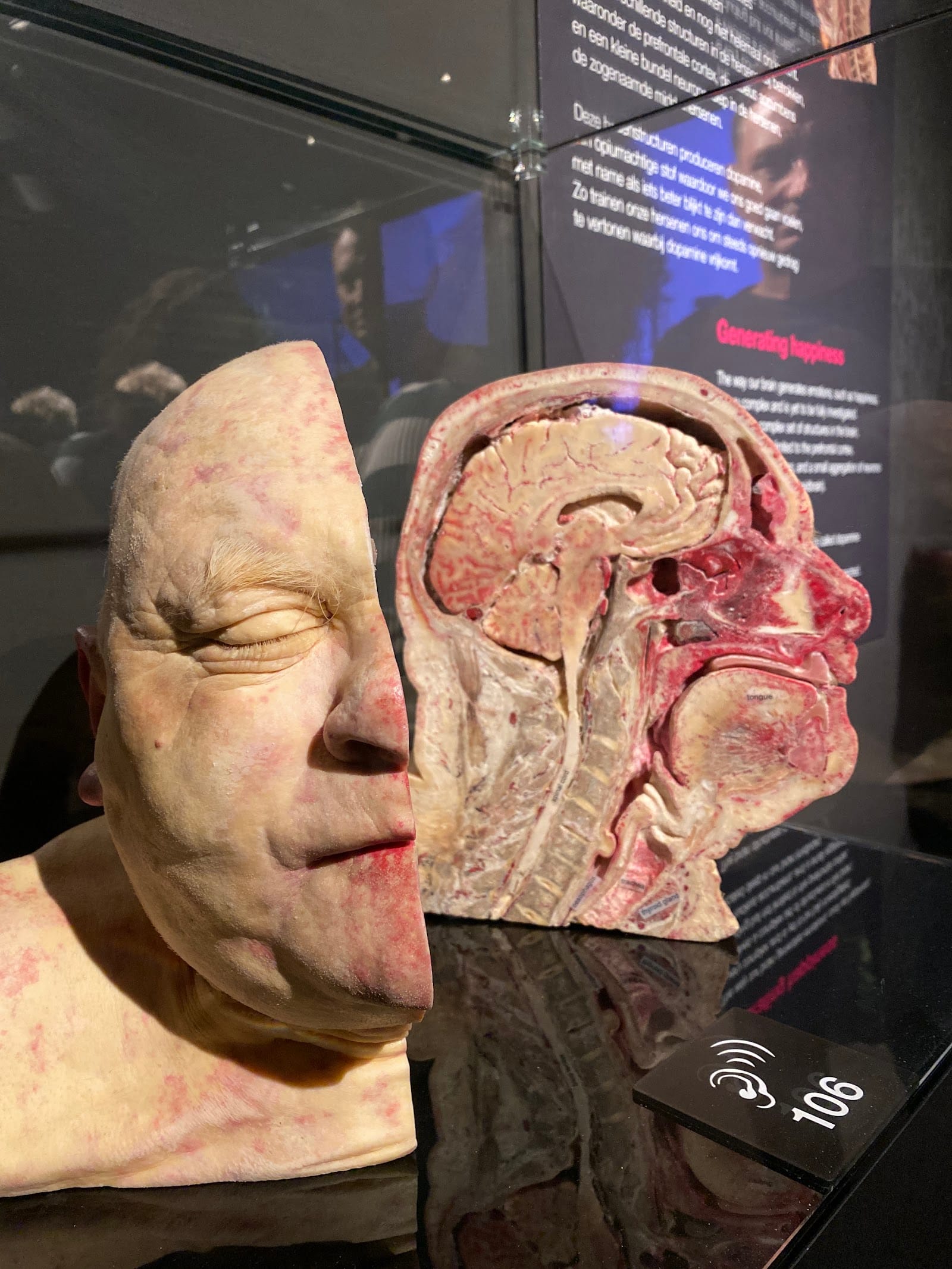 Body Worlds Amsterdam Tickets: What to Know Before You Go — photo
