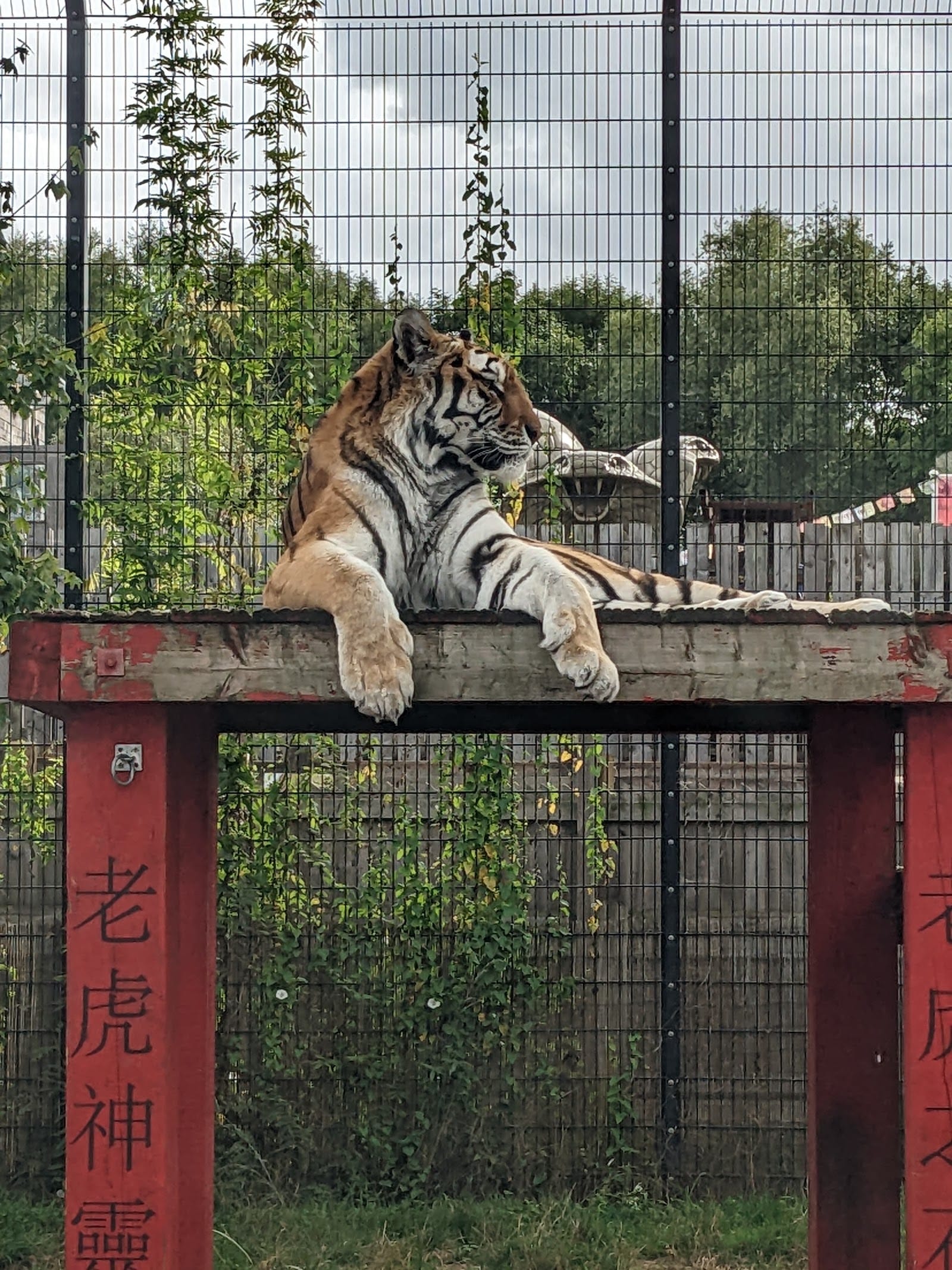 Chessington World of Adventures Tickets & Guide — photo