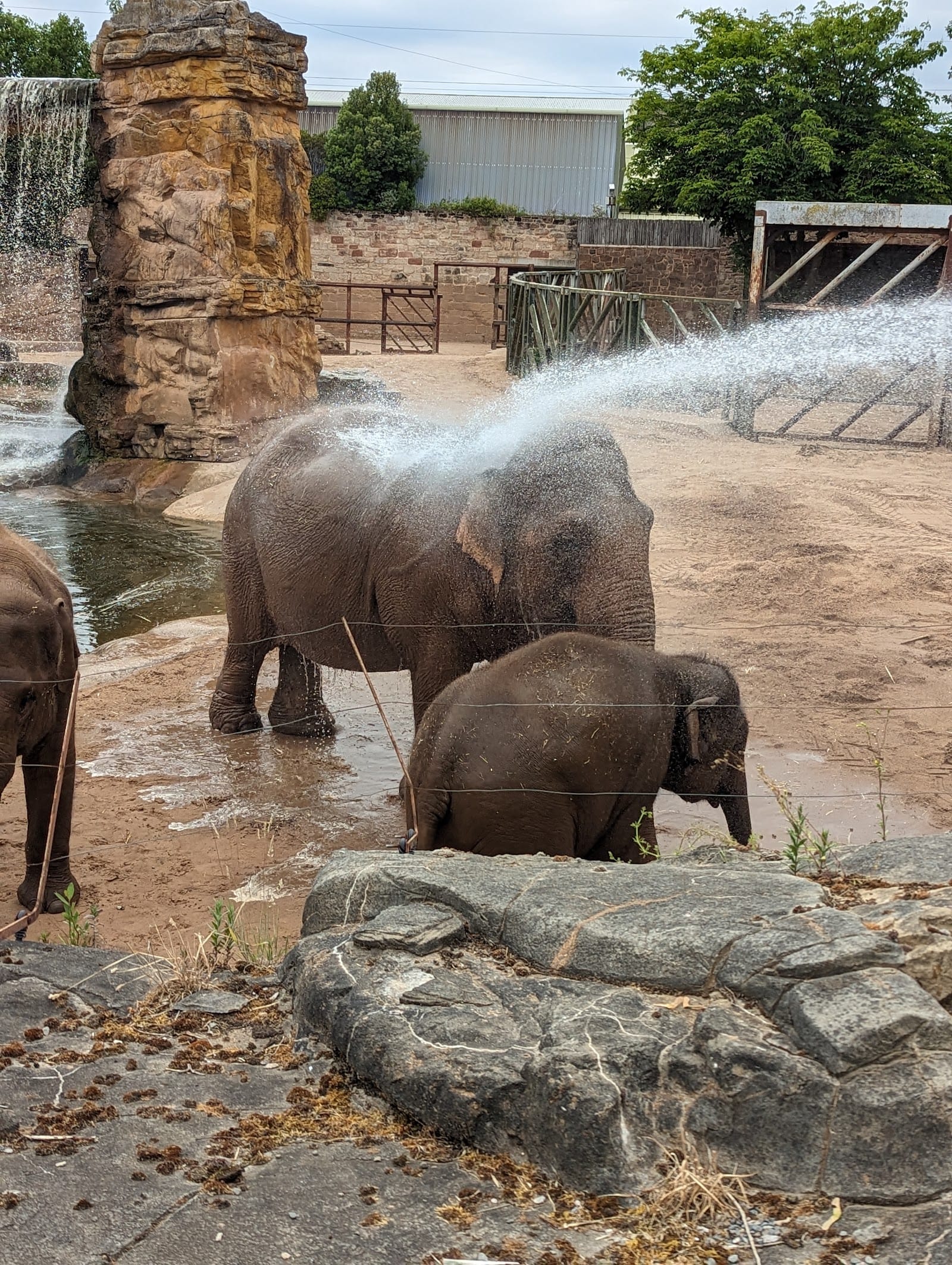 Chester Zoo, Chester 1