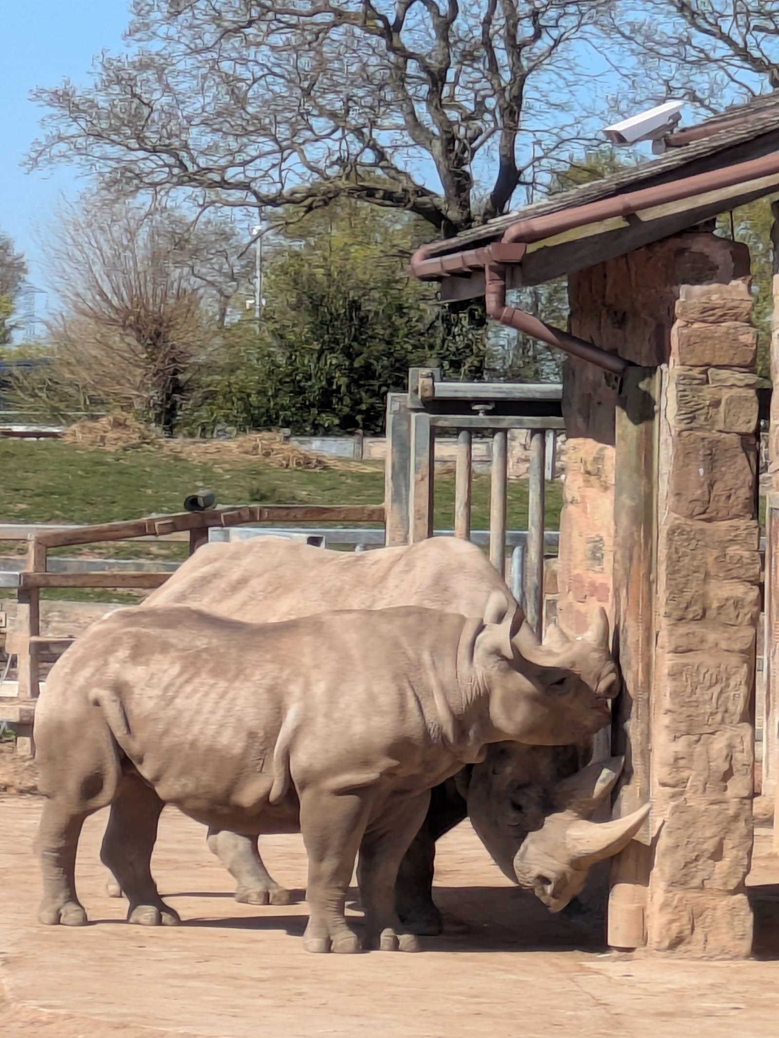 Chester Zoo Tickets: What to Know Before You Go — photo