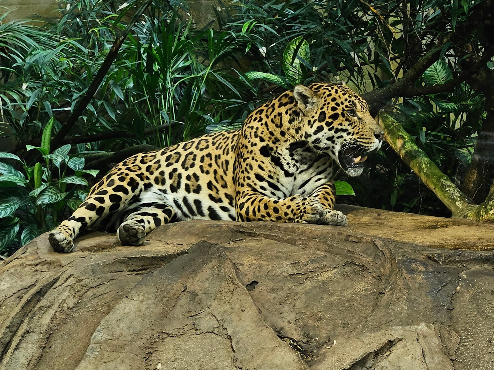 Chester Zoo Tickets: What to Know Before You Go — photo