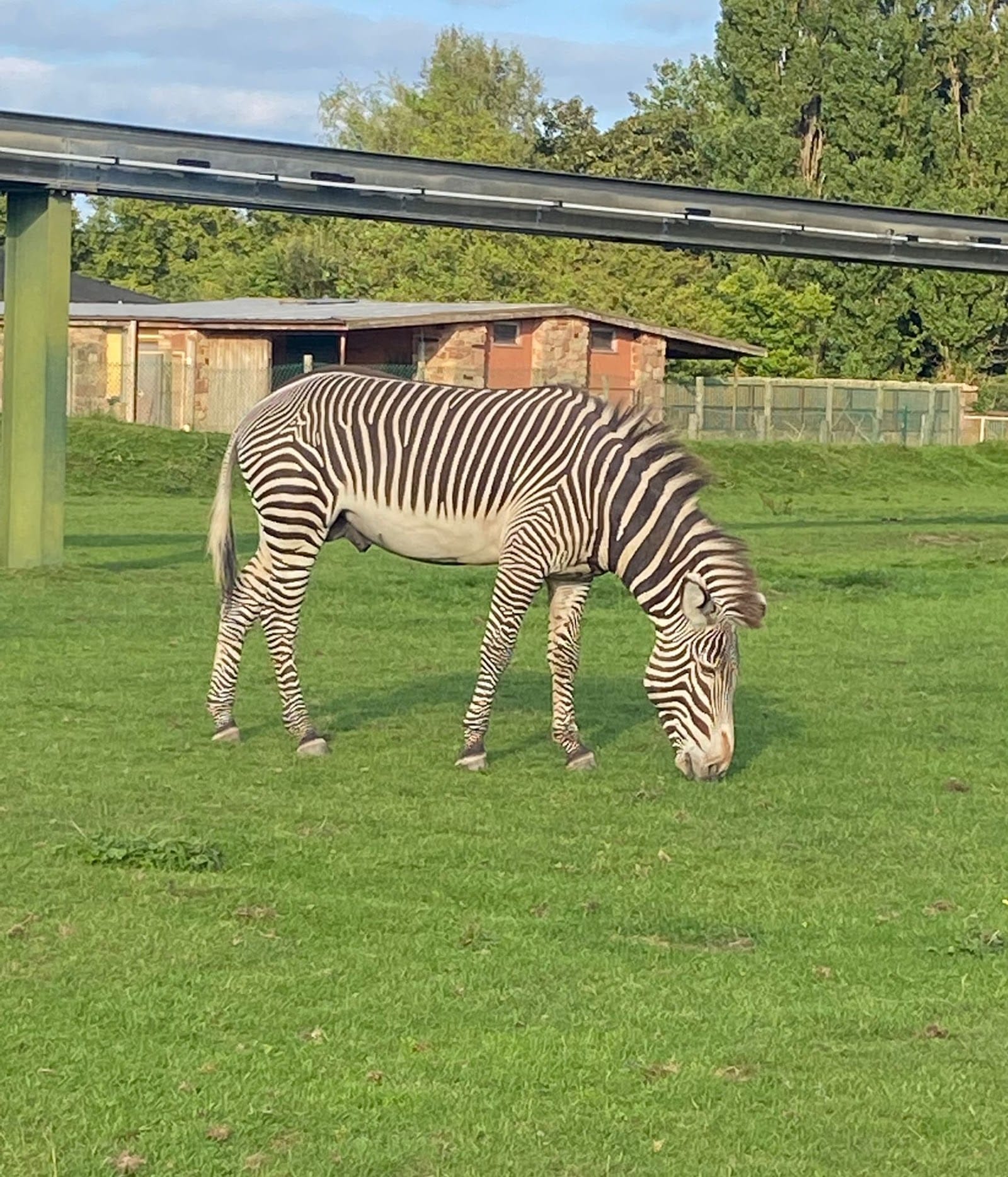 Chester Zoo Tickets: What to Know Before You Go — photo