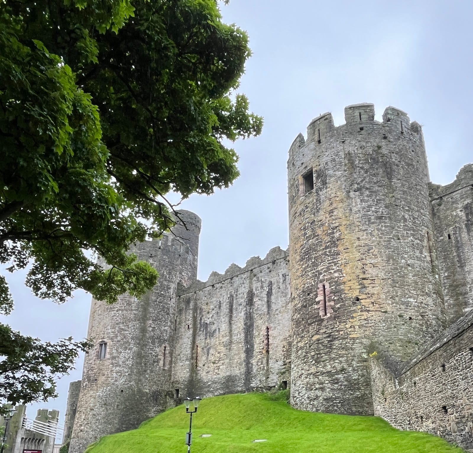 Conwy Castle Tickets: What to Know Before You Go — photo