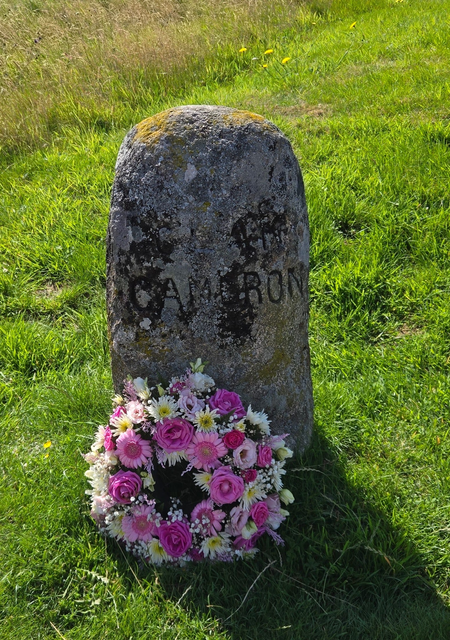 Culloden Battlefield Tickets: What to Know | Inverness — photo