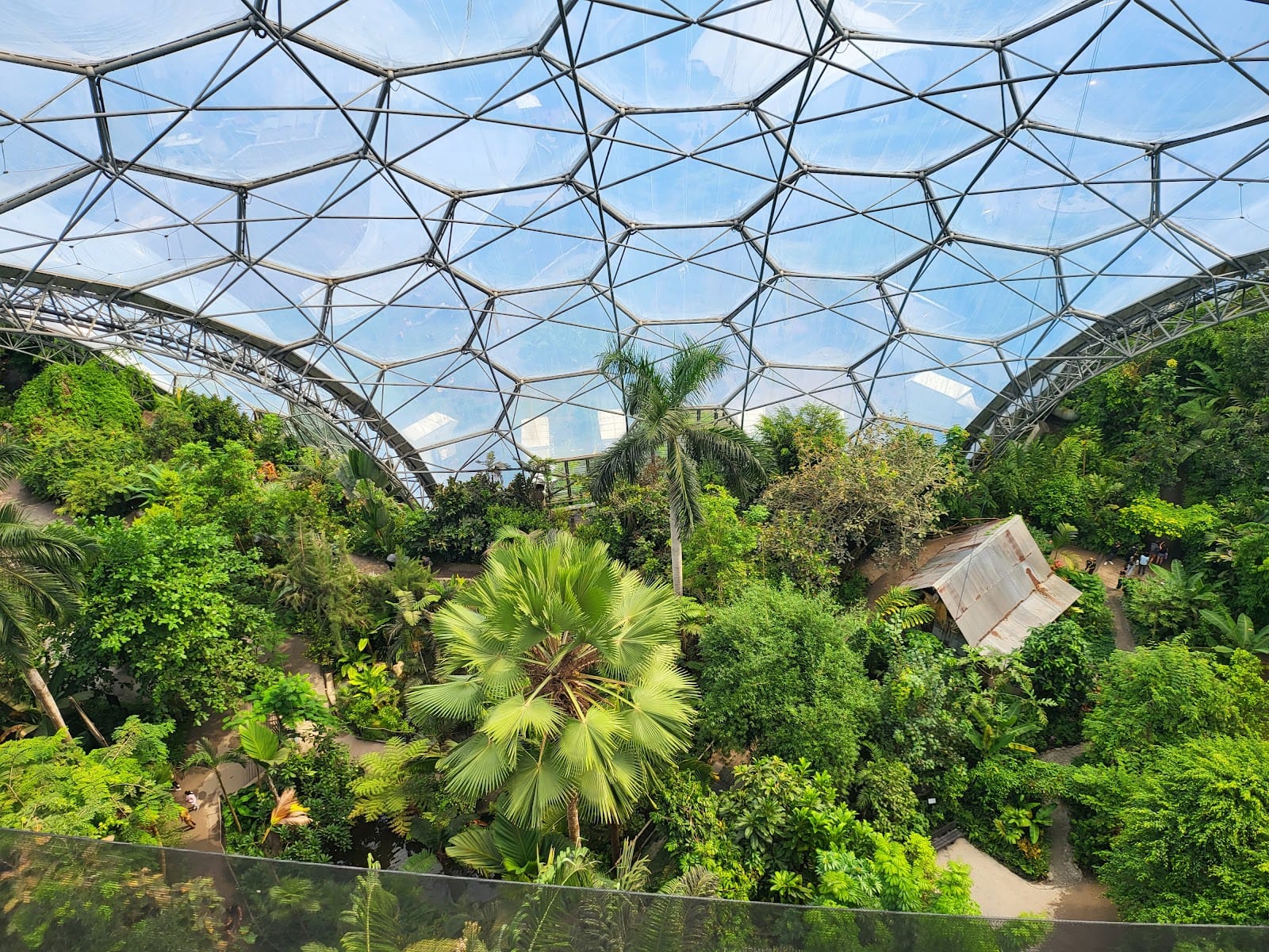 Eden Project Tickets: What to Know Before You Go — photo