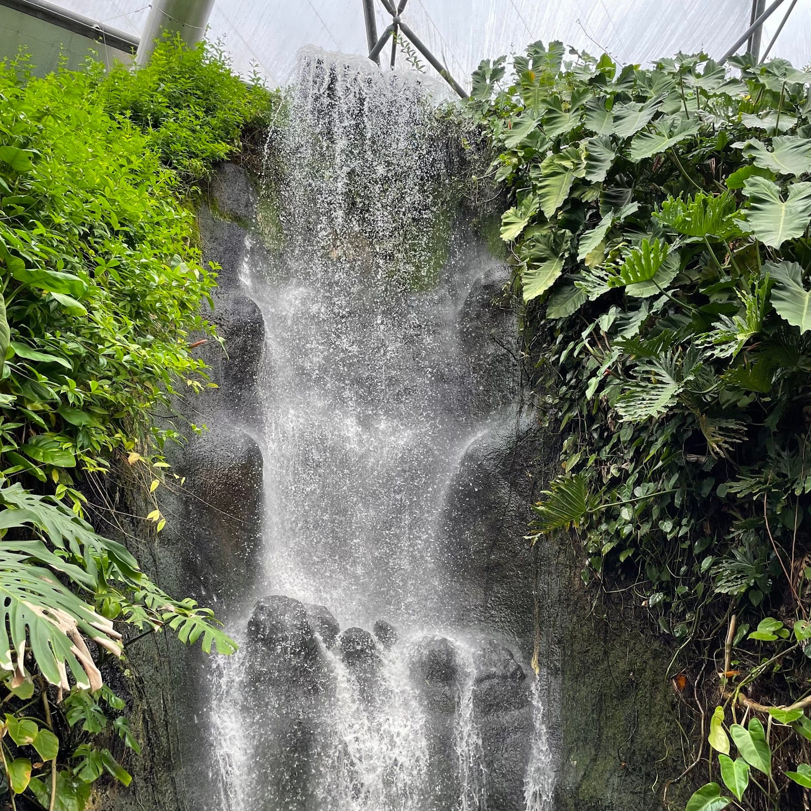 Eden Project Tickets: What to Know Before You Go — photo