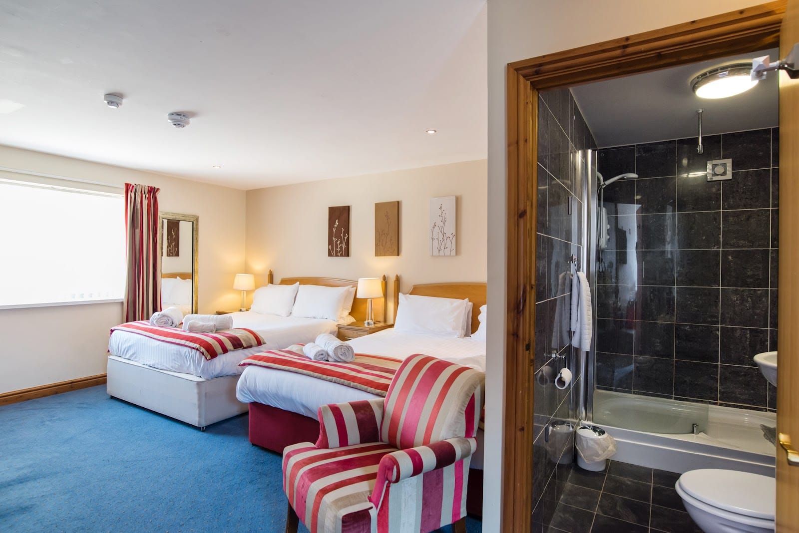 Where to Stay in Aberystwyth: Best Areas & Hotels — photo