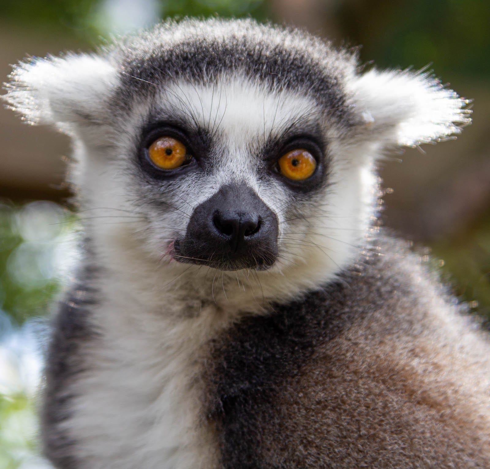 London Zoo Tickets: What to Know Before You Visit — photo