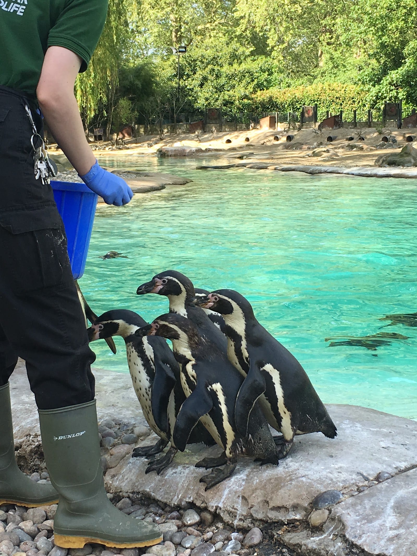 London Zoo Tickets: What to Know Before You Visit — photo