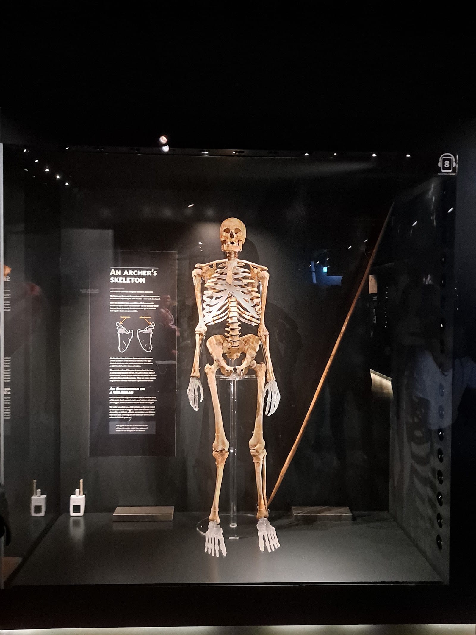 Mary Rose Museum Tickets: What to Know | Portsmouth — photo