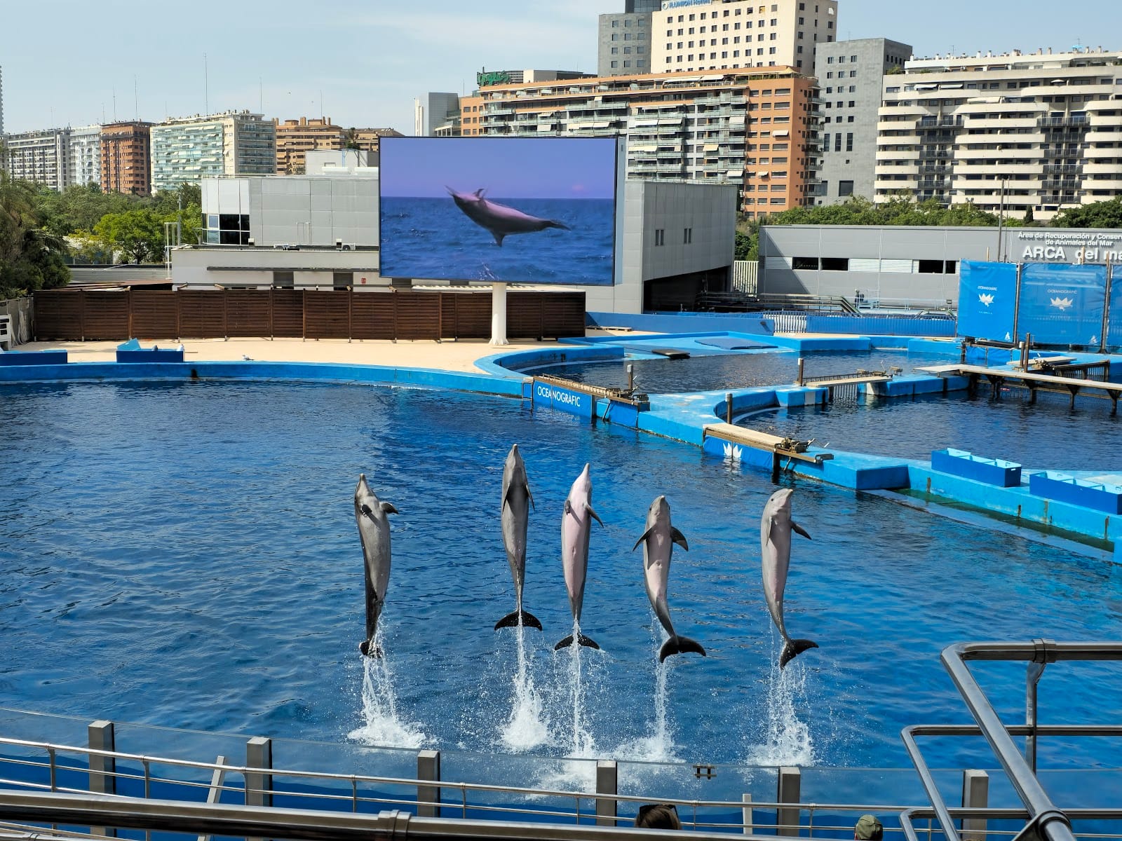 Oceanogràfic València Tickets: What to Know Before You Go — photo