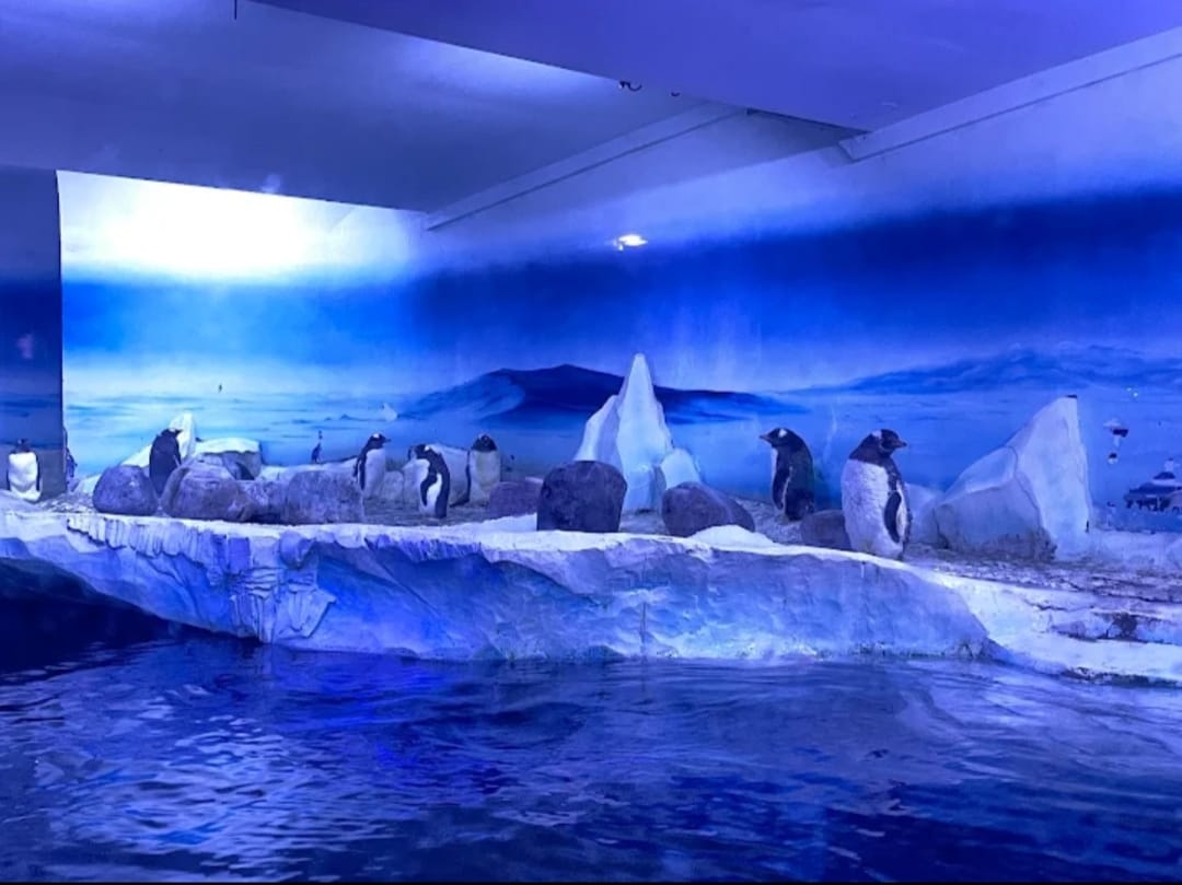 SEA LIFE London Aquarium Tickets: What to Know — photo