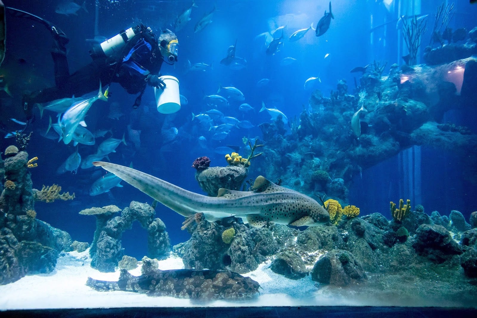 The Deep, Hull: Tickets & What to Know Before You Go — photo