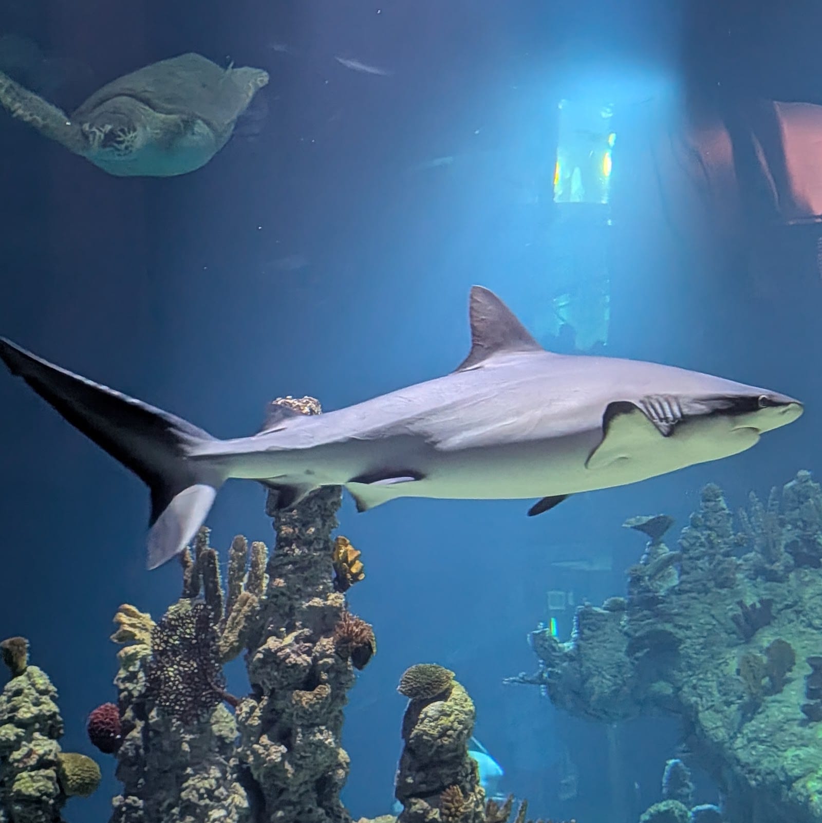 The Deep, Hull: Tickets & What to Know Before You Go — photo