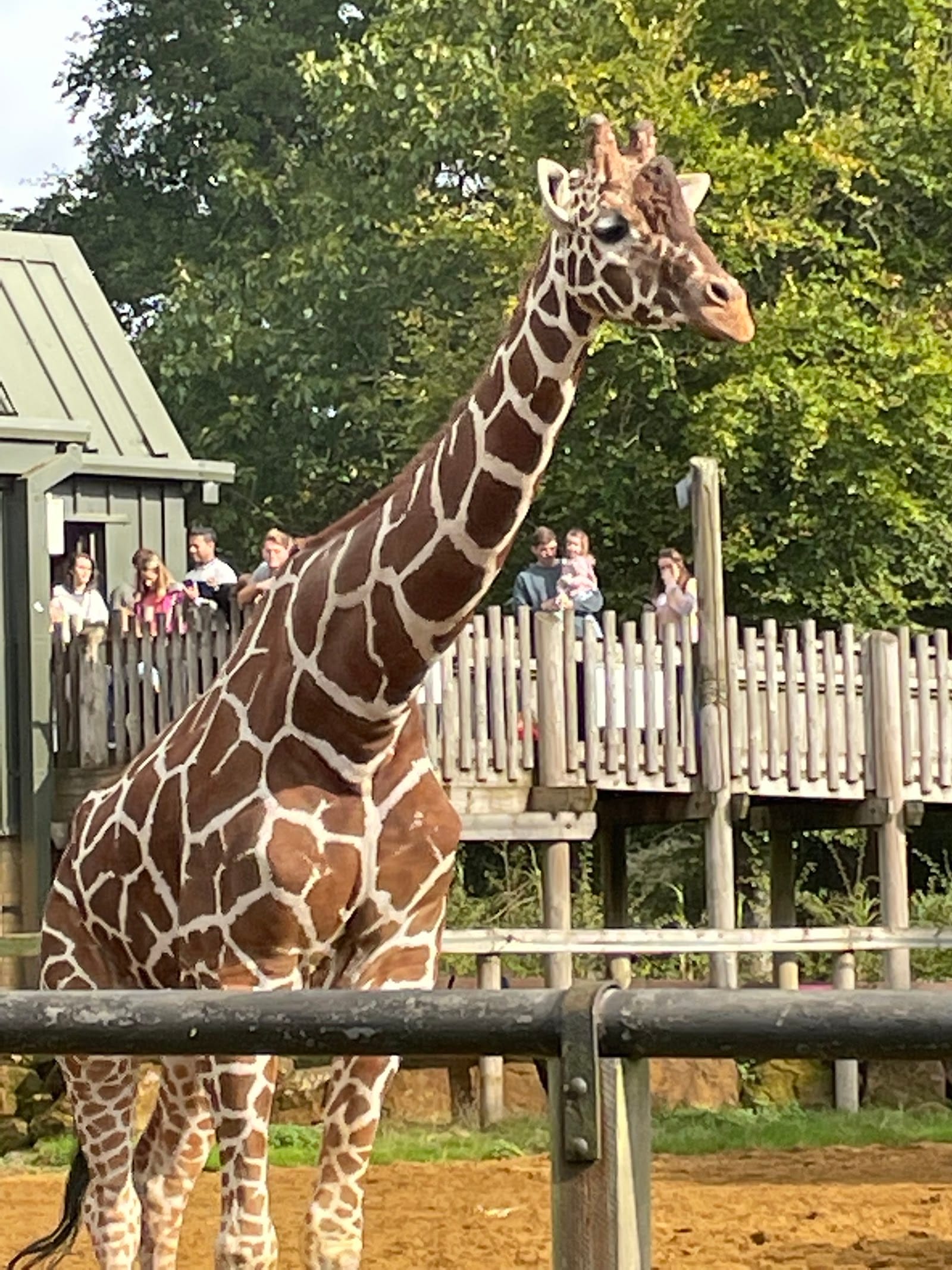 ZSL Whipsnade Zoo Tickets & Visitor Guide, Dunstable — photo