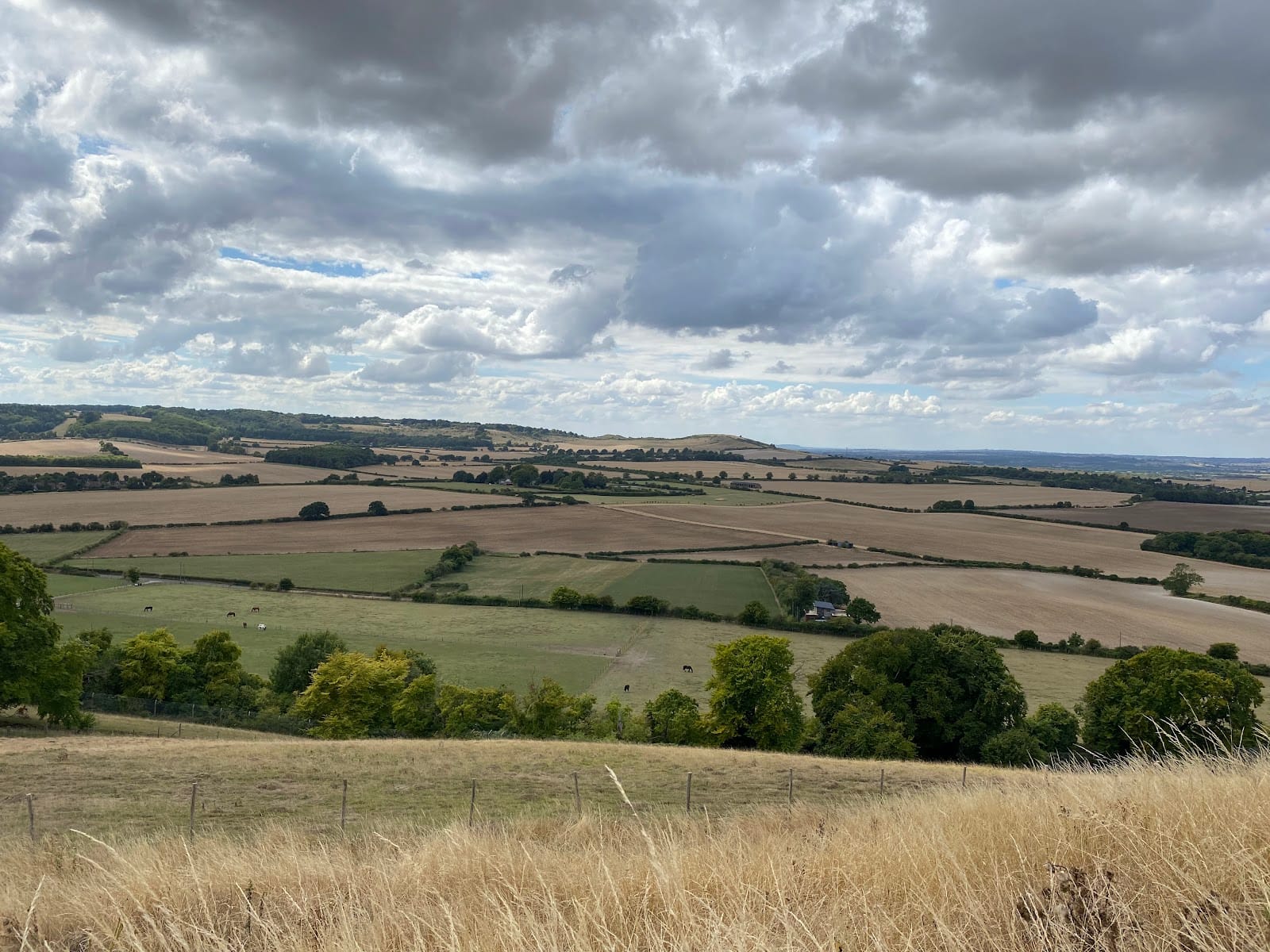 ZSL Whipsnade Zoo Tickets & Visitor Guide, Dunstable — photo