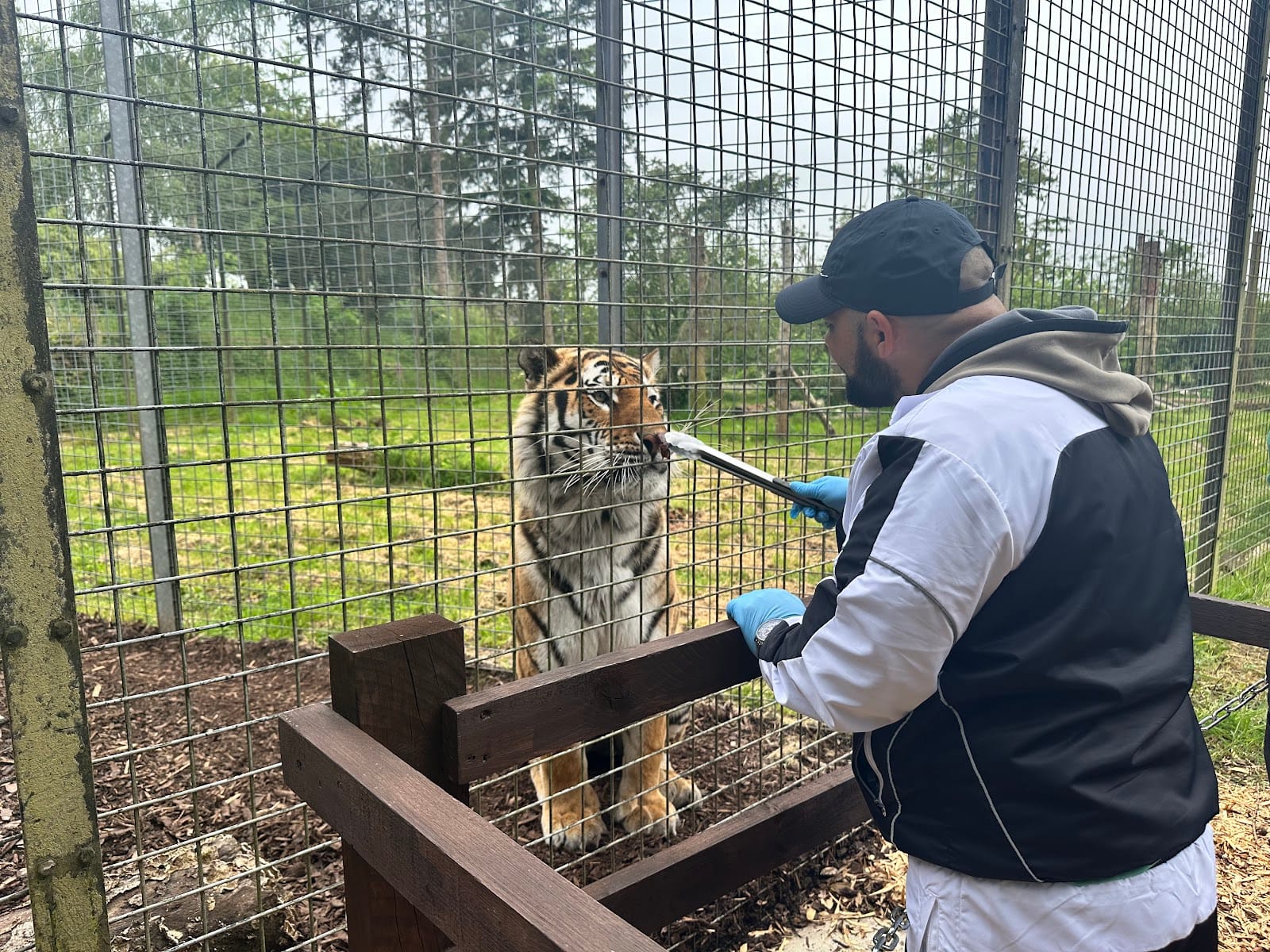 ZSL Whipsnade Zoo Tickets & Visitor Guide, Dunstable — photo