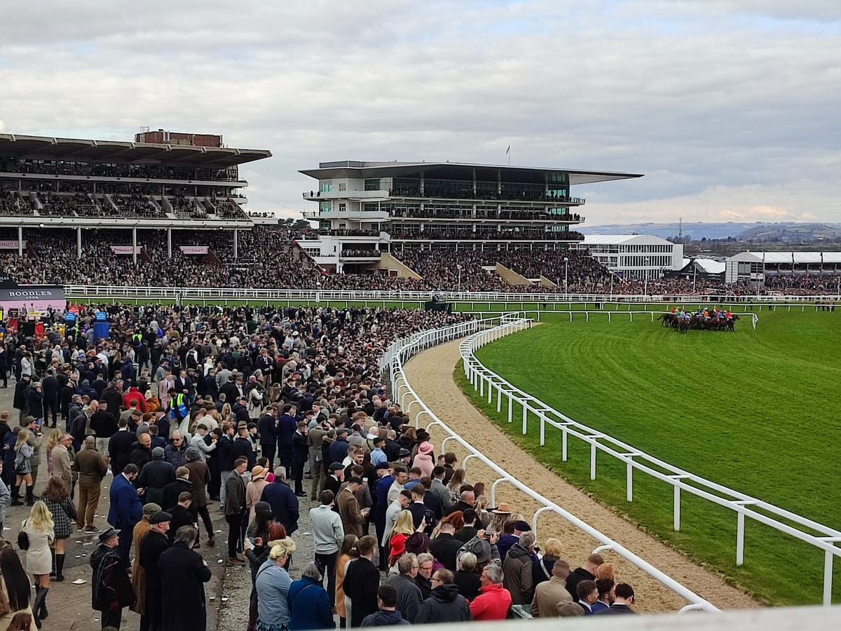 Cheltenham Festival 2026: Four Days of Proper Racing Chaos